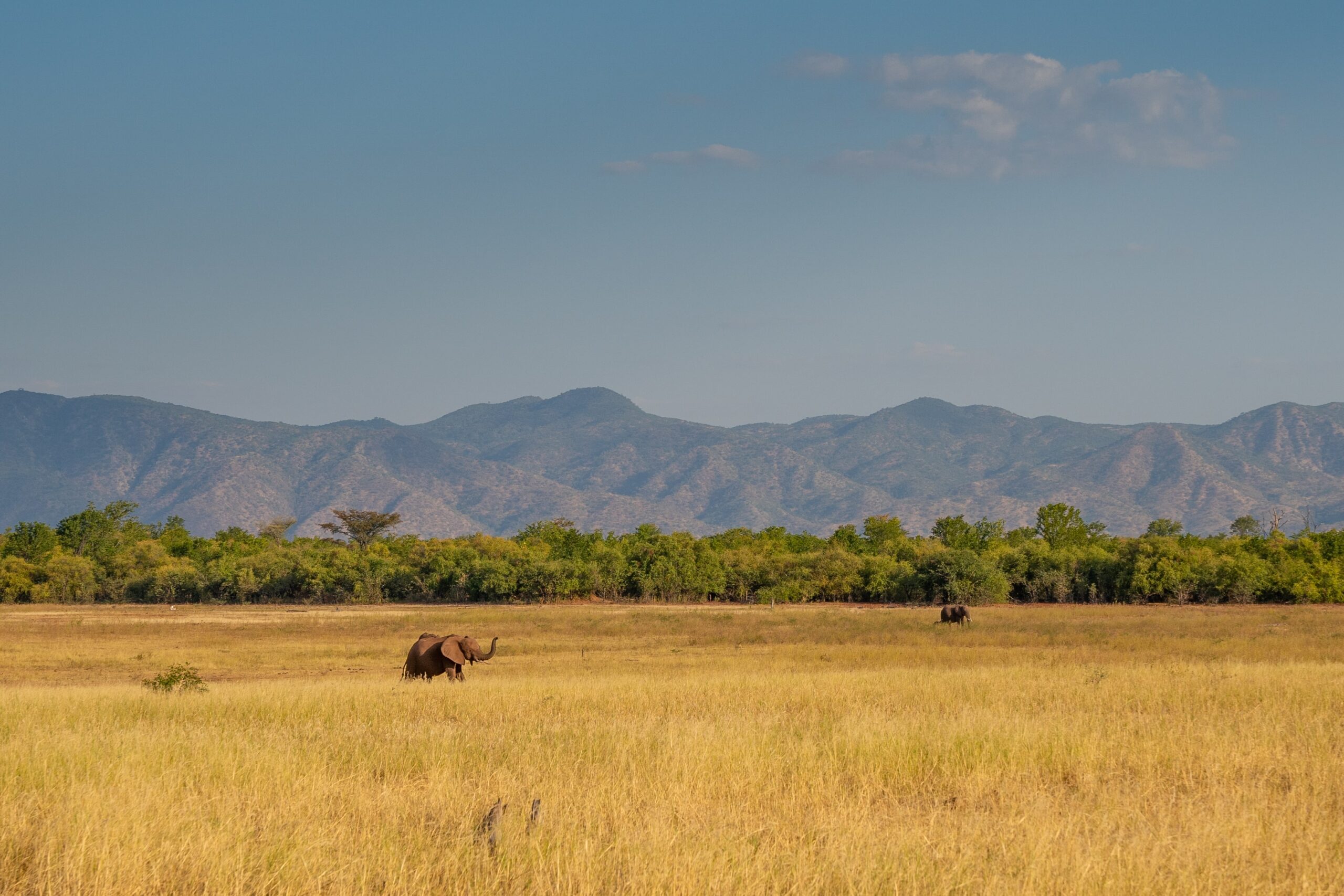 Matusadona National Park